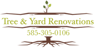 Tree & Yard Renovations Logo